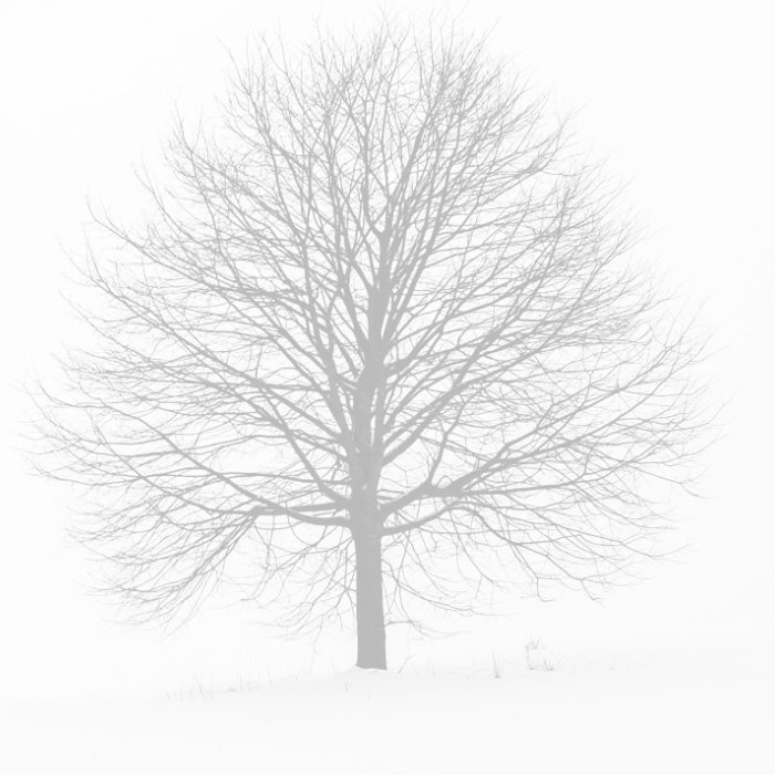 music-cover